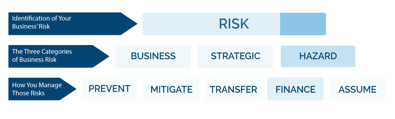 InsuranceDilemma
