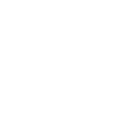 strategy_icon strategy_icon